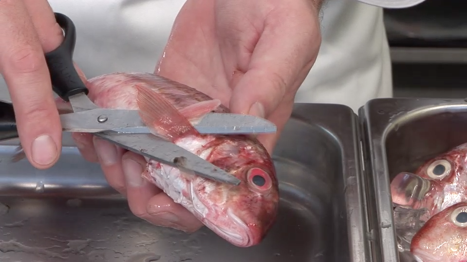 Habiller les poissons
