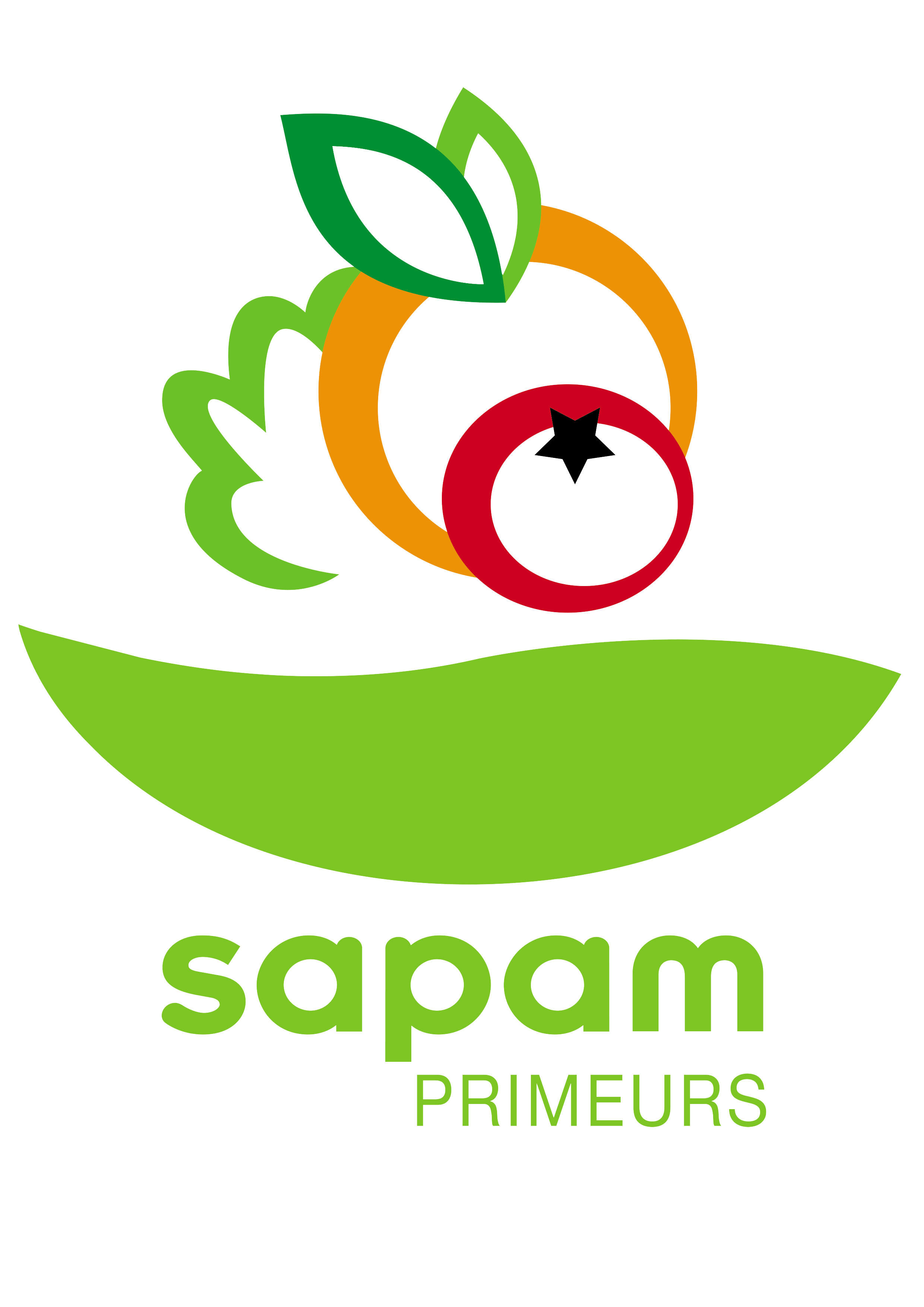 Les fruits et légumes en folie ...